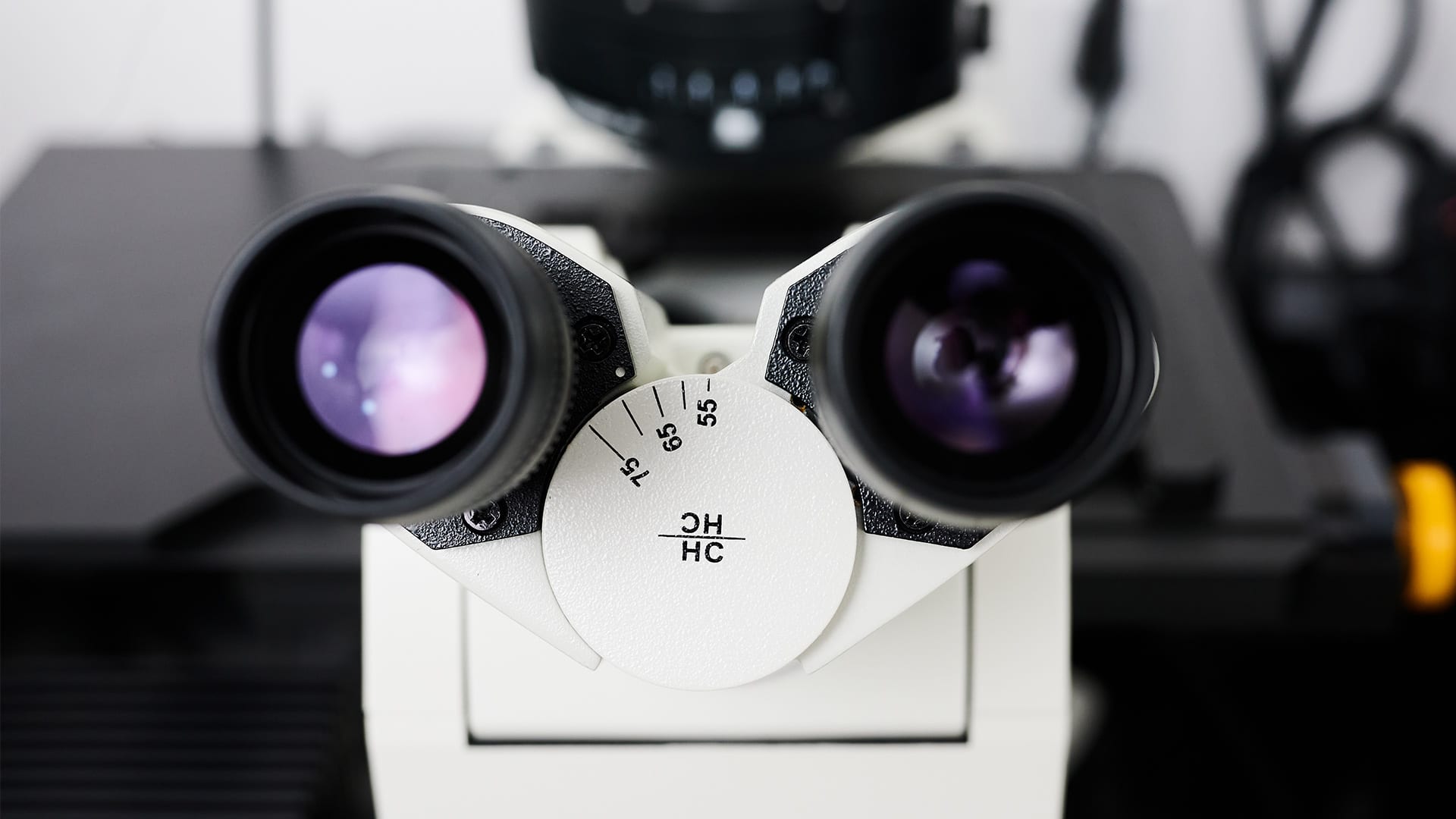 Microscope image