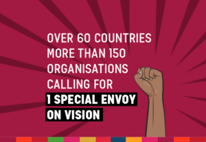 UN special envoy on vision