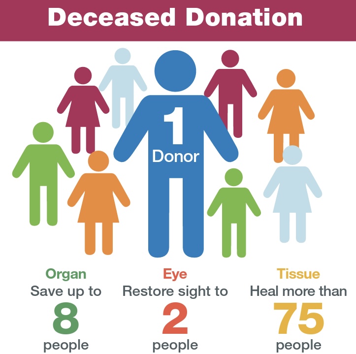 Deceased donation infographic