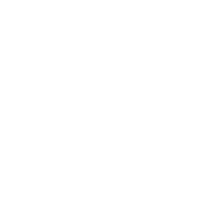 CRO+ services icon