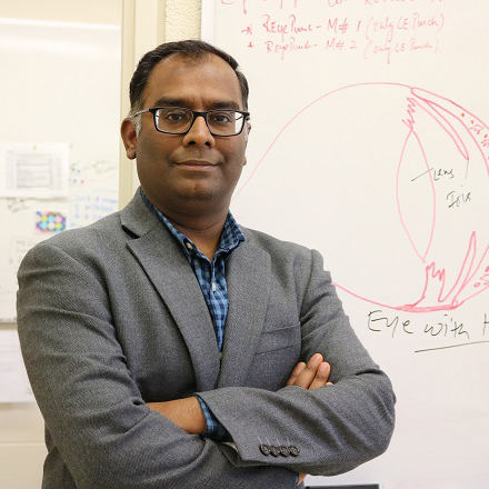 Eversight eye & vision research grants program