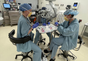 eye banking and vision research fellowship