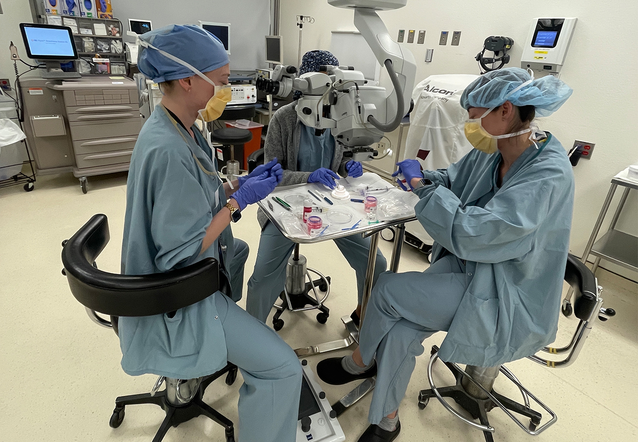 eye banking and vision research fellowship
