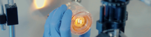 donor corneal tissue solutions