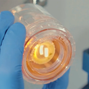 donor corneal tissue solutions