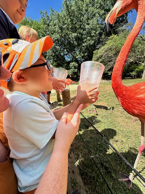 Oliver visits the zoo and able to see