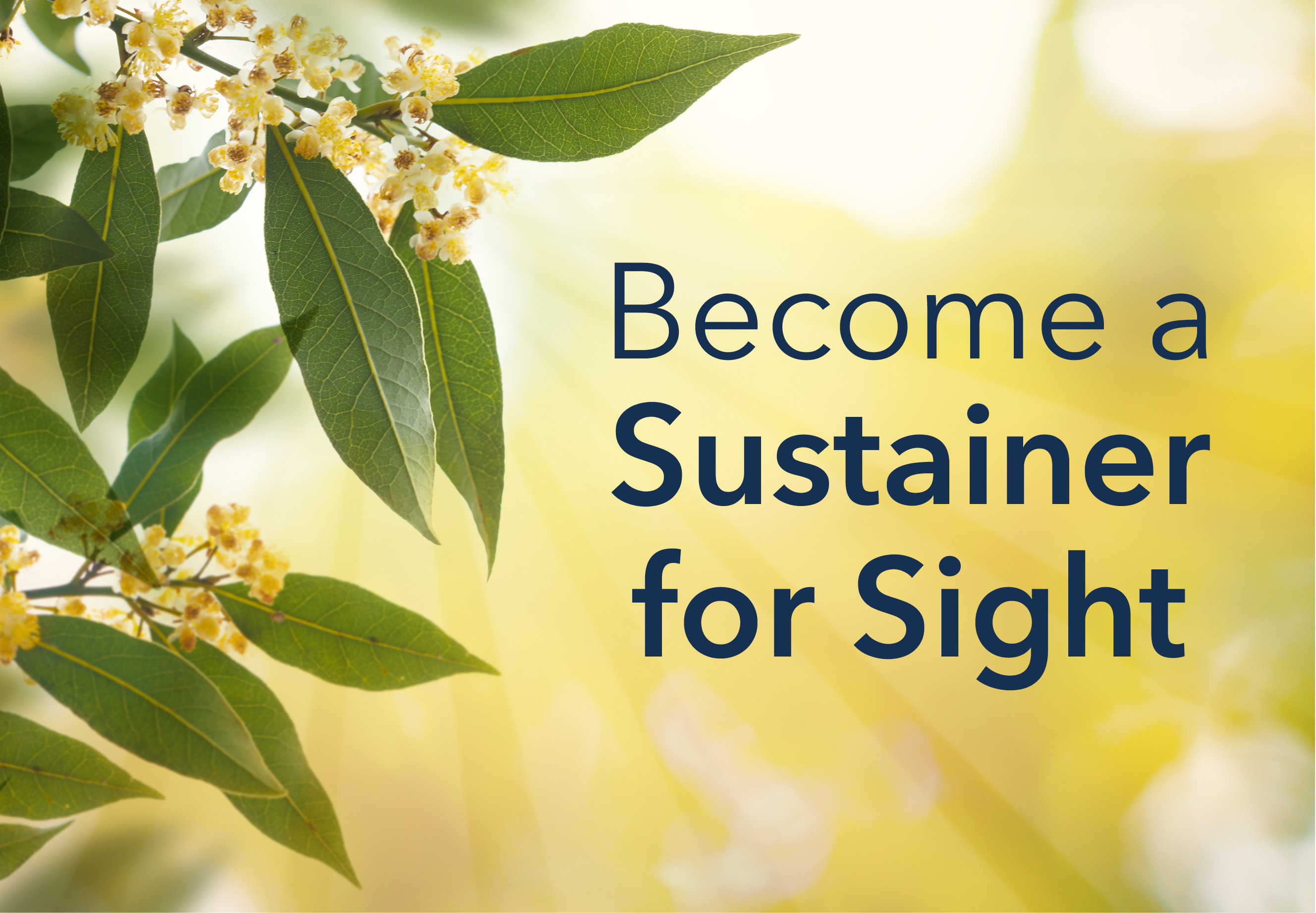 Sustainer for sight