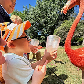 Oliver Chavez, a four-year-old cornea recipient from Indiana